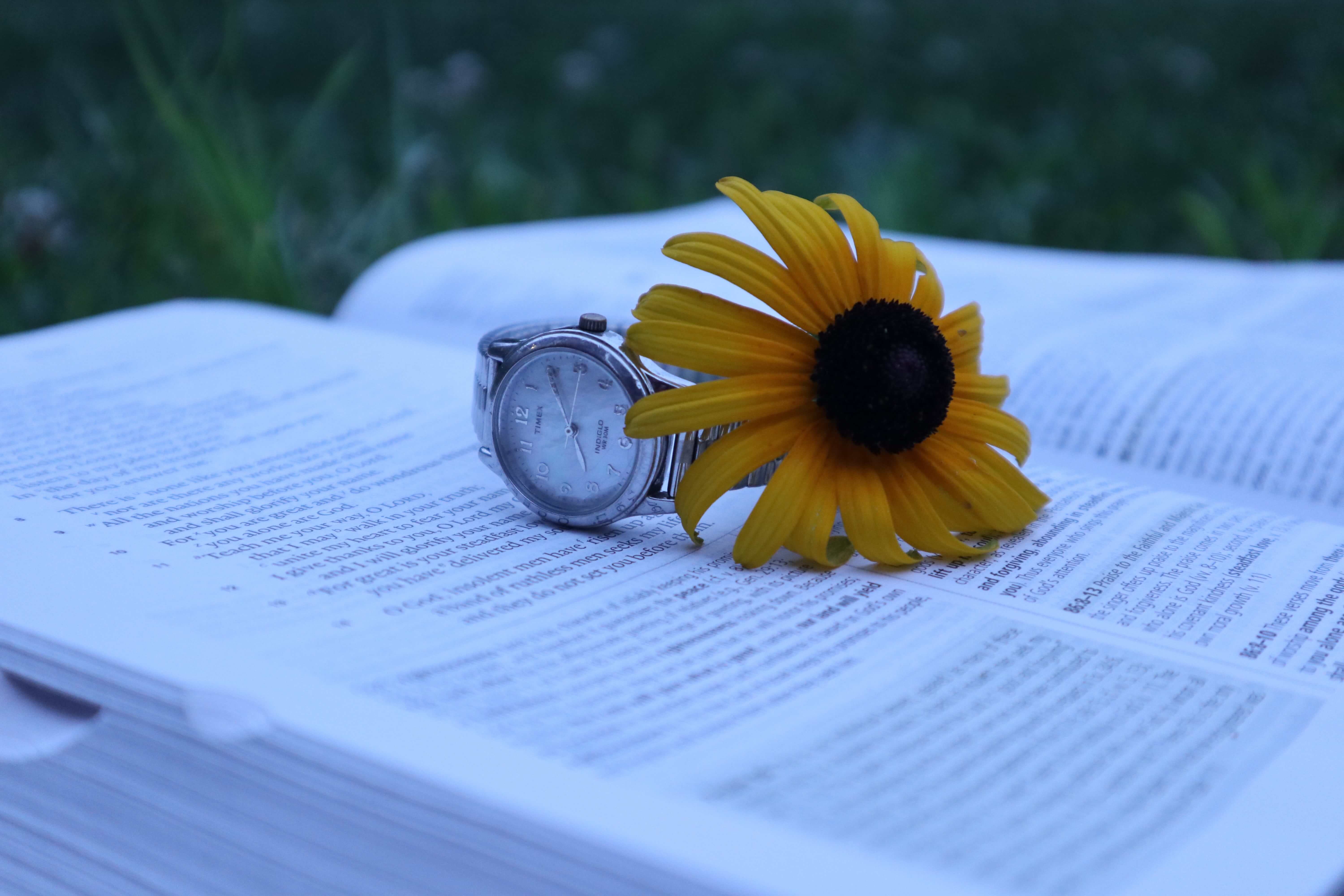 Bible and Watch Heading Photo